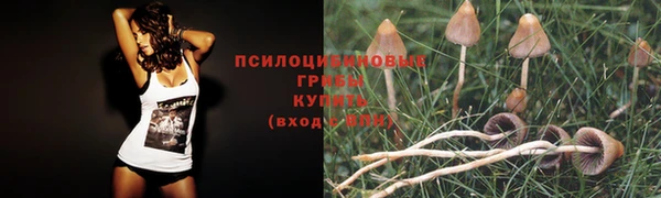 кокаин Володарск